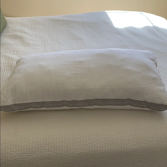 Isotonic Other - 🎉 2/$12! Isotonic Down Alternative King Pillow